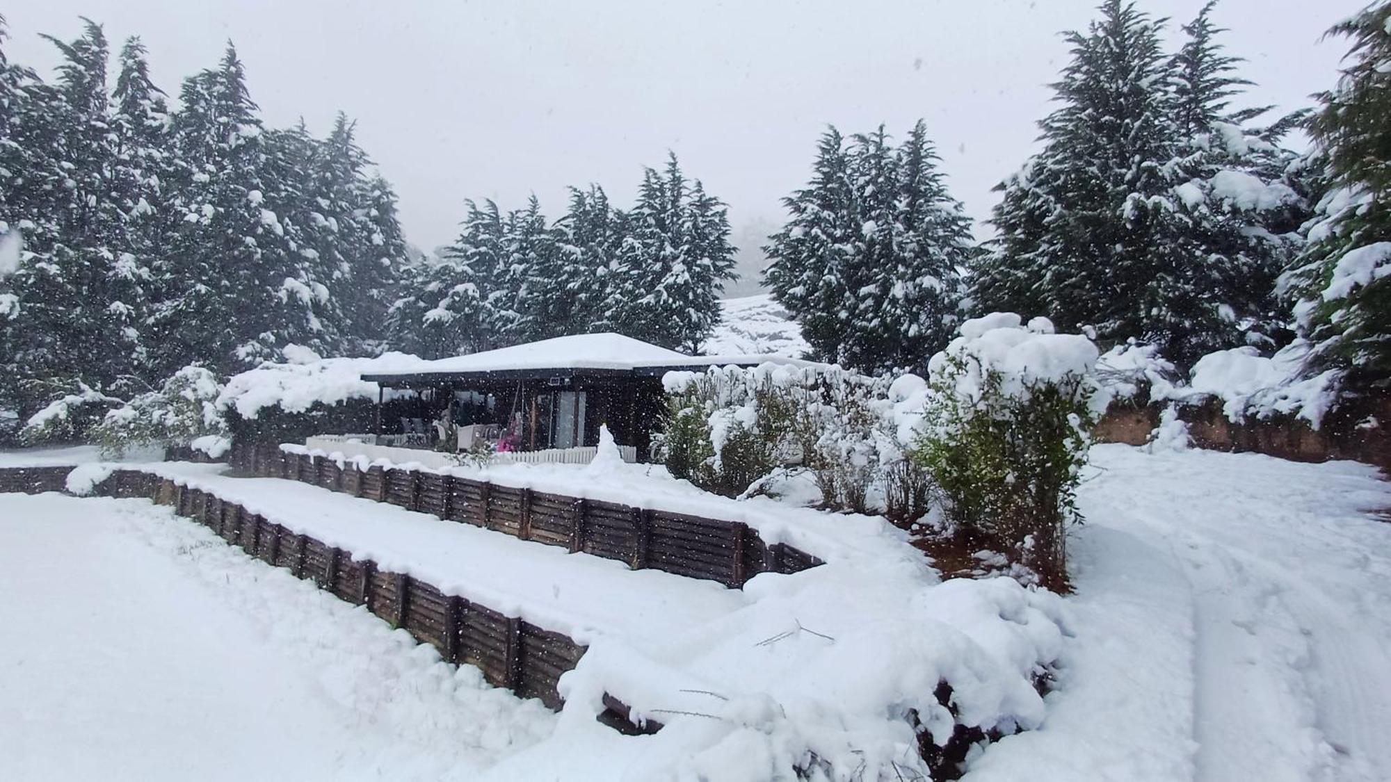 9 Stoney Way Cottage アンダーバーグ エクステリア 写真